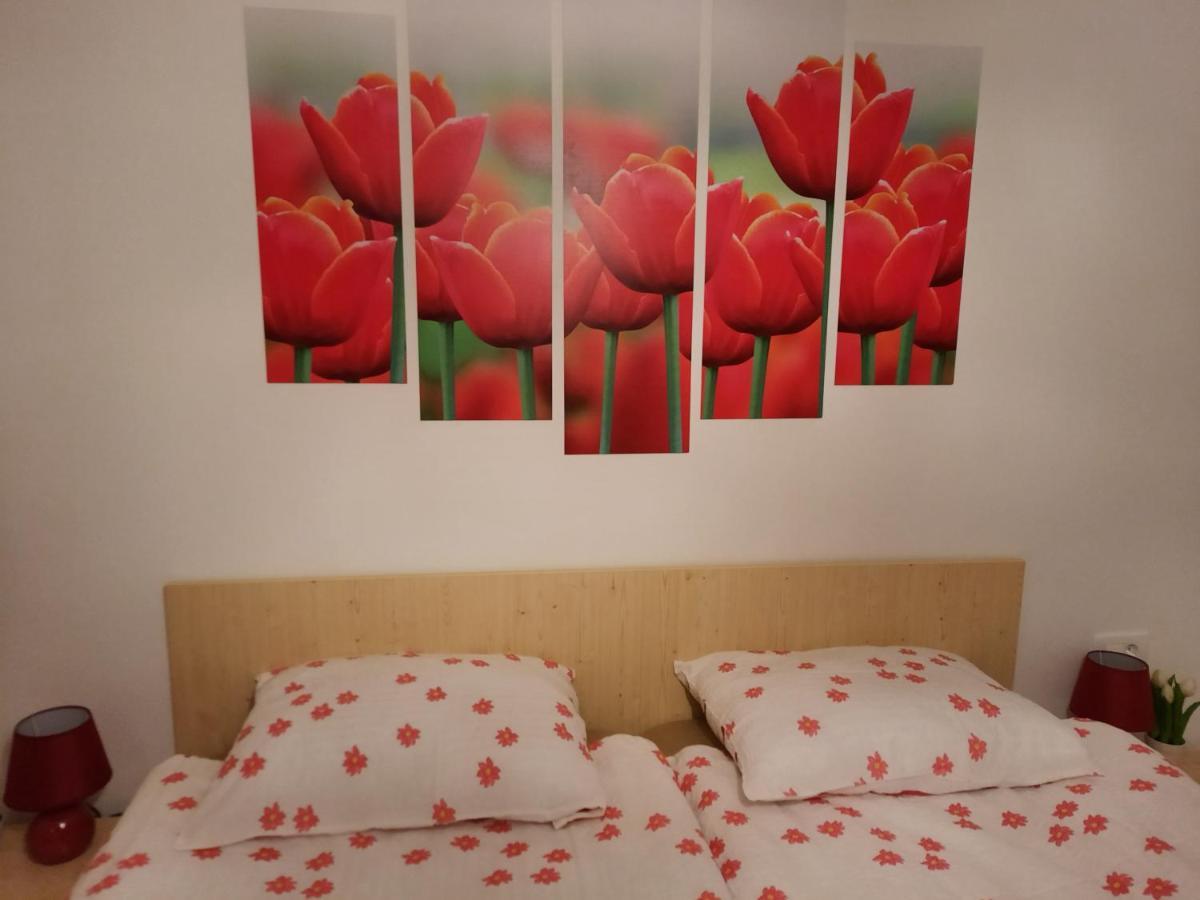 Apartma Rozle Мойстрана Екстериор снимка